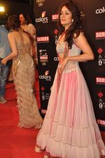 Vidya Malvade at Screen Awards red carpet in Mumbai on 12th Jan 2013 (307).JPG